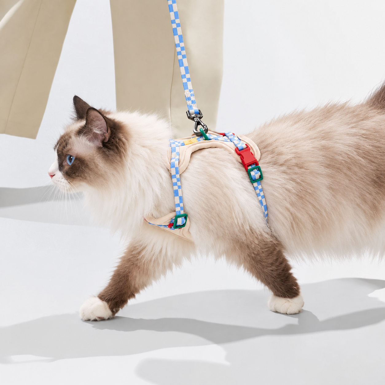 猫咪系列